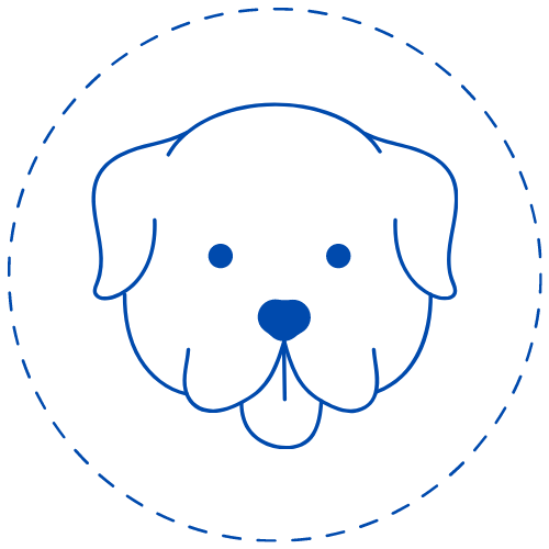 Le monde de Poppy propose une collection de produits pour la promenade pour profiter pleinement de votre chien et partager des moments de bonheur. Produits testés par Poppy à petit prix et de qualité : Modes, Tendances et Fashion originaux.