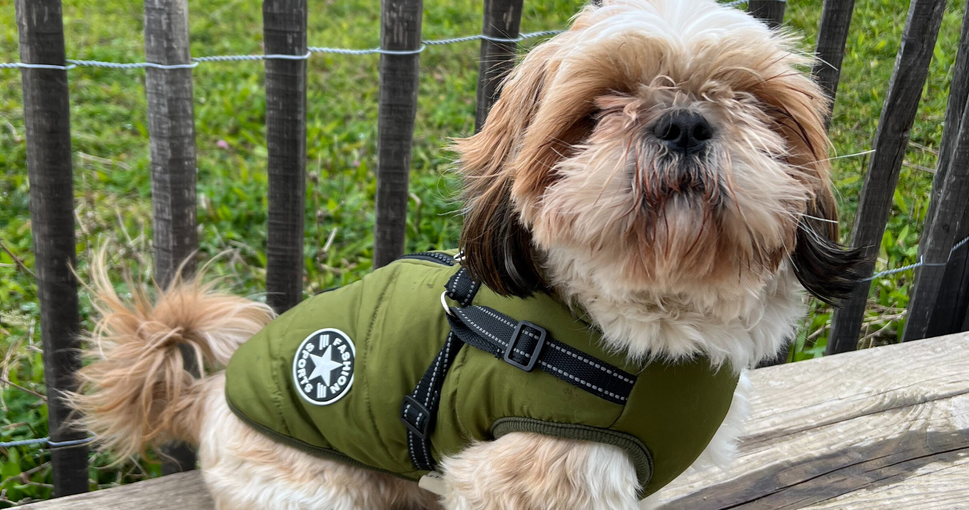 Le monde de Poppy - Gilet harnais pour chien 