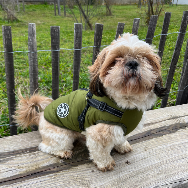 Le monde de Poppy - Gilet harnais pour chien