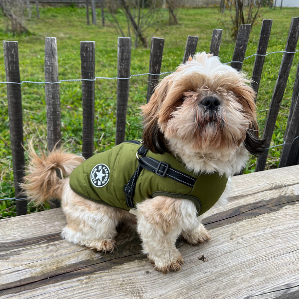 Le monde de Poppy - Gilet harnais pour chien 