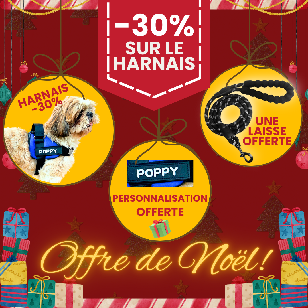 Magic Harnais™ Harnais personnalisable anti-traction