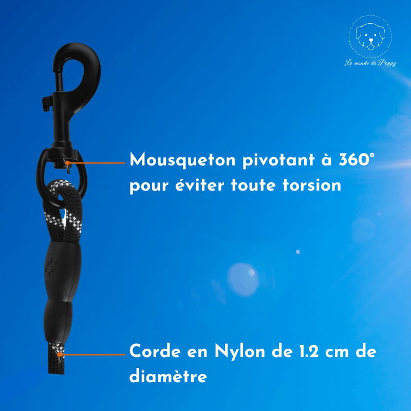 ClimbLeash : Laisse ultra résistante et réfléchissante - Premium - Le monde de Poppy
