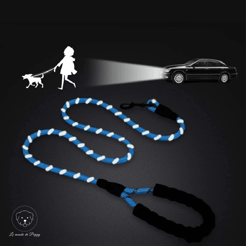 ClimbLeash : Laisse ultra résistante et réfléchissante - Premium - Le monde de Poppy