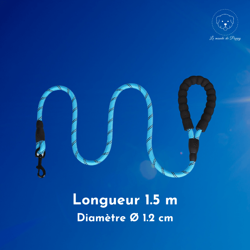 ClimbLeash : Laisse ultra résistante et réfléchissante - Premium - Le monde de Poppy