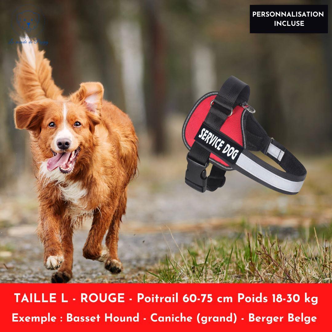 Magic Harnais™ Harnais personnalisable anti-traction - Le monde de Poppy