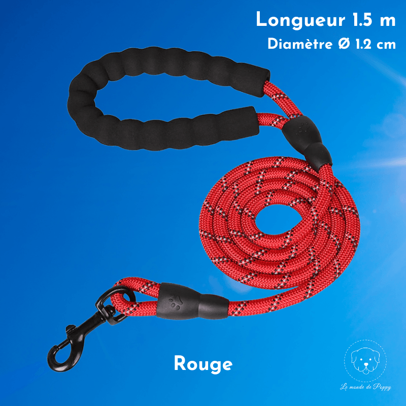 ClimbLeash : Laisse ultra résistante et réfléchissante - Premium - Le monde de Poppy