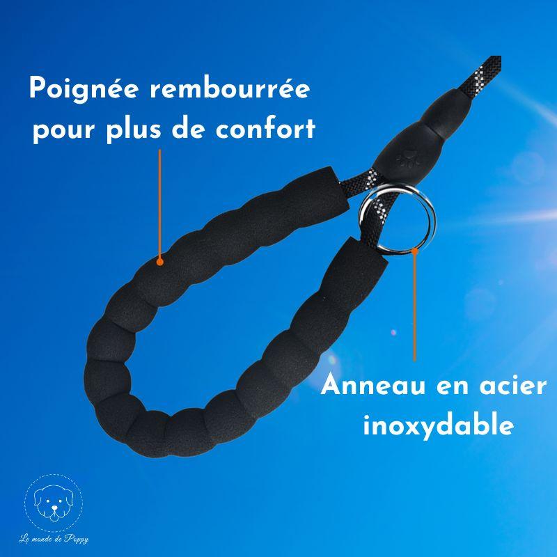 ClimbLeash : Laisse ultra résistante et réfléchissante - Premium - Le monde de Poppy