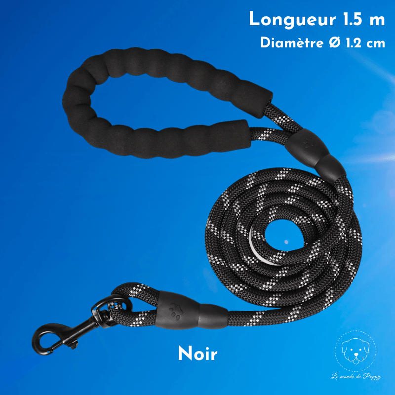 ClimbLeash : Laisse ultra résistante et réfléchissante - Premium - Le monde de Poppy