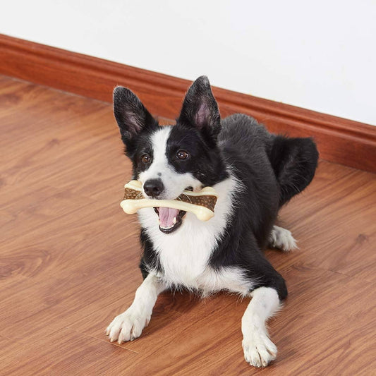 MolarDog™ Jouets en forme d'os pour chien | Chien - Le monde de Poppy