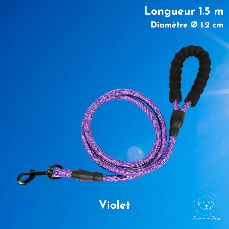 ClimbLeash : Laisse ultra résistante et réfléchissante - Premium - Le monde de Poppy