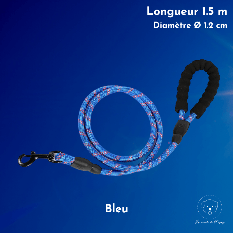 ClimbLeash : Laisse ultra résistante et réfléchissante - Premium - Le monde de Poppy