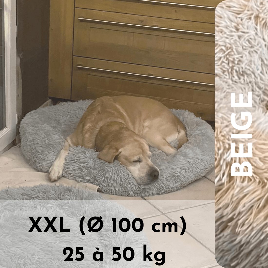 LE coussin anti stress chien déhoussable | HAPPYDOG™ - Le monde de Poppy