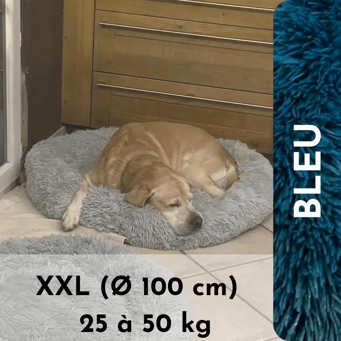 LE coussin anti stress chien déhoussable | HAPPYDOG™ - Le monde de Poppy
