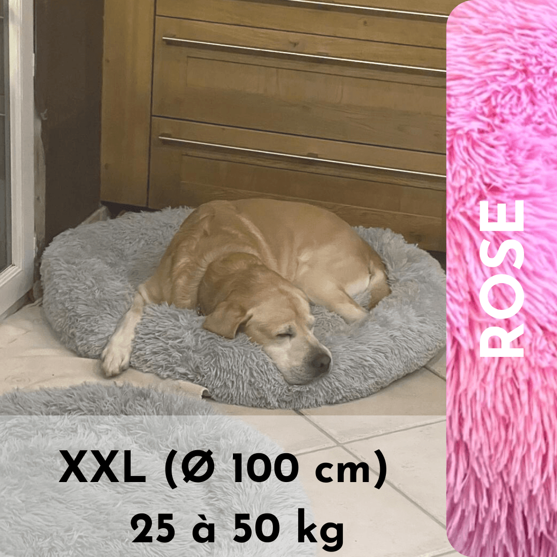 LE coussin anti stress chien déhoussable | HAPPYDOG™ - Le monde de Poppy