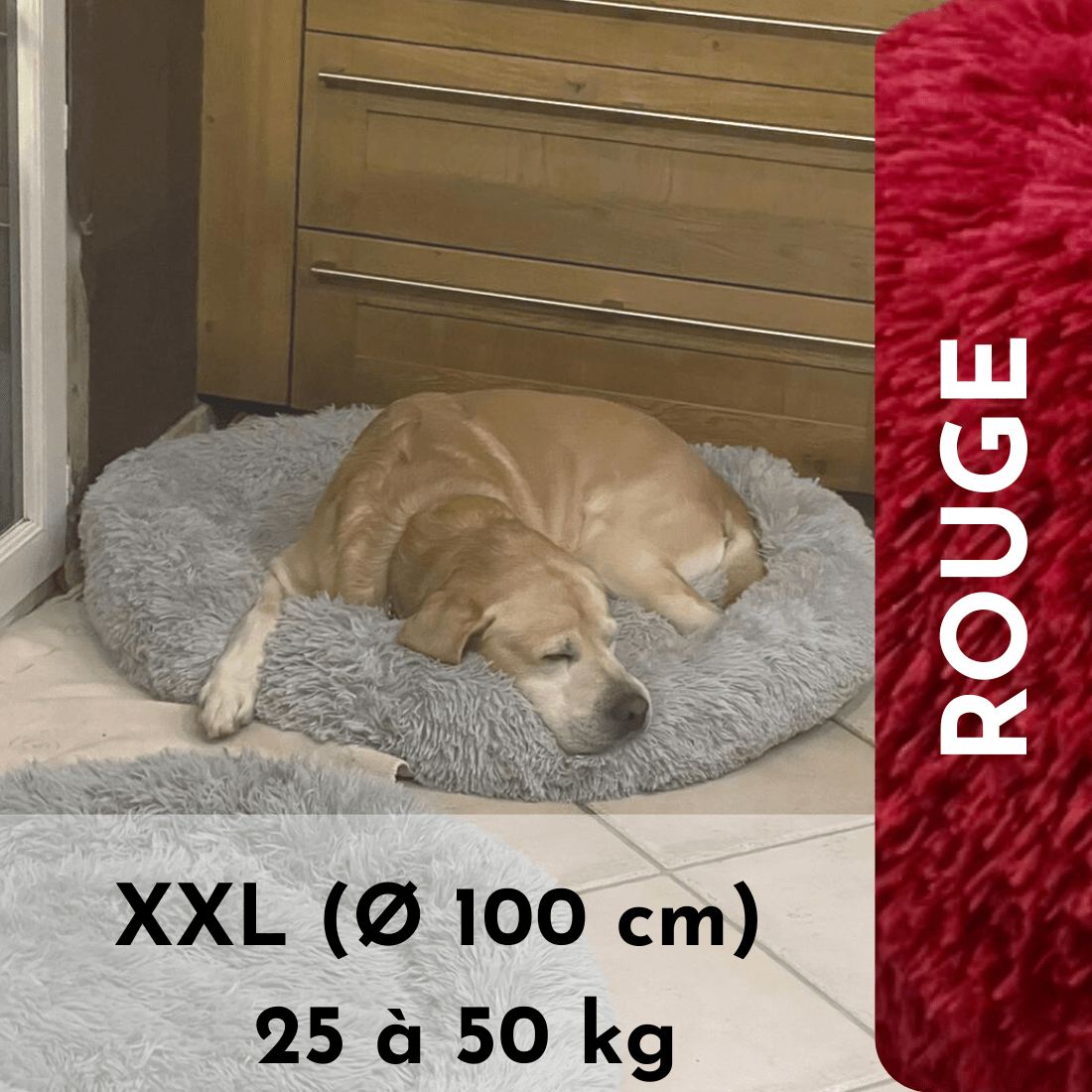 LE coussin anti stress chien déhoussable | HAPPYDOG™ - Le monde de Poppy
