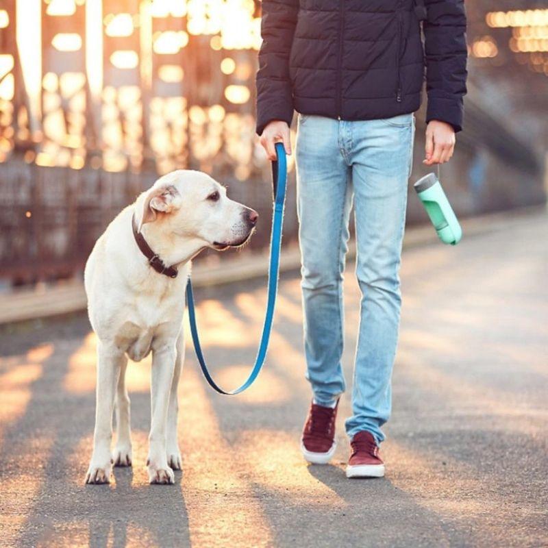 Gourde d'eau portable 2 en 1 pour votre chien en promenade | DogBottle™ - Le monde de Poppy
