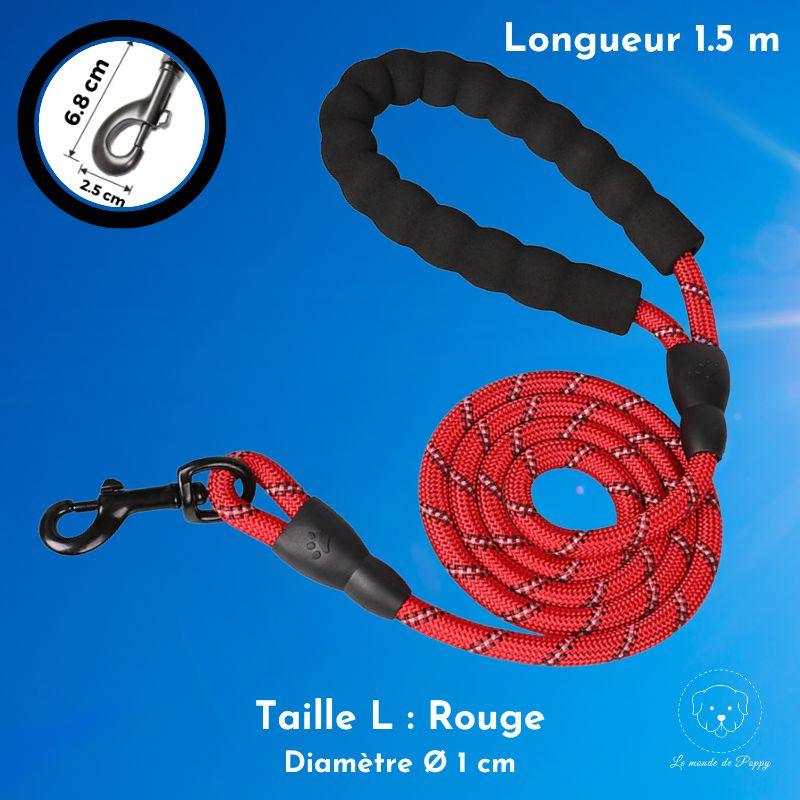 ClimbLeash : Laisse ultra résistante et réfléchissante - Premium - Le monde de Poppy
