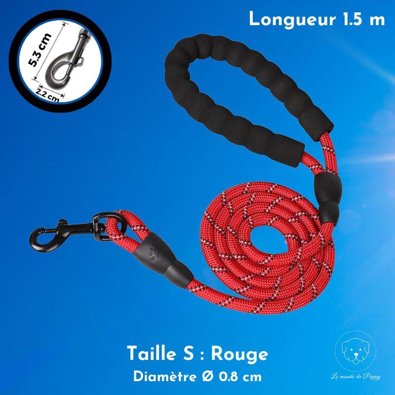 ClimbLeash : Laisse ultra résistante et réfléchissante - Premium - Le monde de Poppy