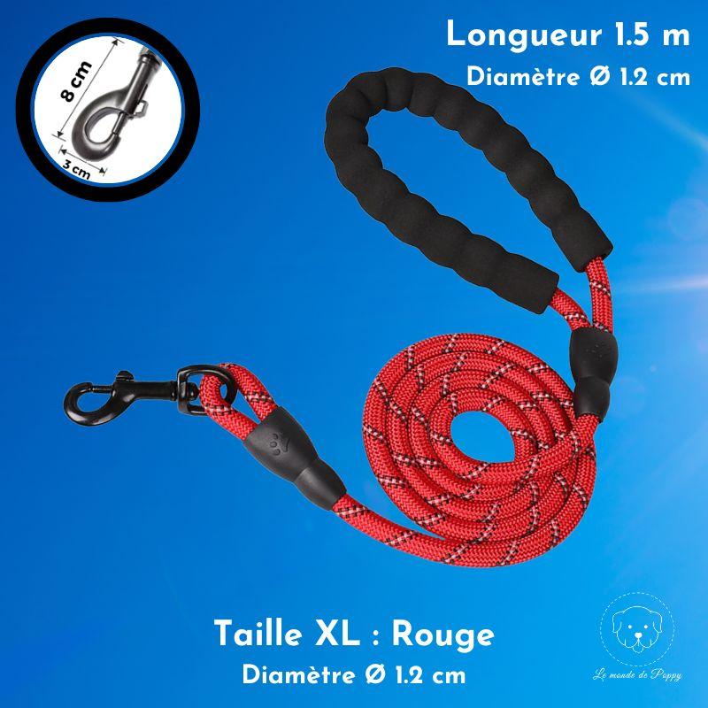 ClimbLeash : Laisse ultra résistante et réfléchissante - Premium - Le monde de Poppy