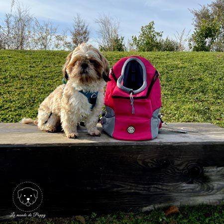 Sac à dos de Transport pour animaux de compagnie | Chien | BackpackDog™ - Le monde de Poppy