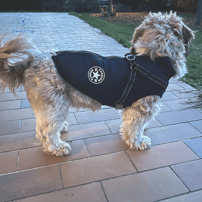 Manteau imperméable et polaire avec harnais intégré | DogCoat - Le monde de Poppy