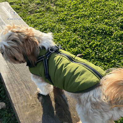 Manteau imperméable et polaire avec harnais intégré | DogCoat - Le monde de Poppy