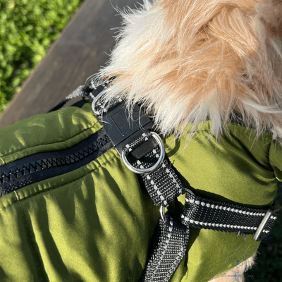 Manteau imperméable et polaire avec harnais intégré | DogCoat - Le monde de Poppy