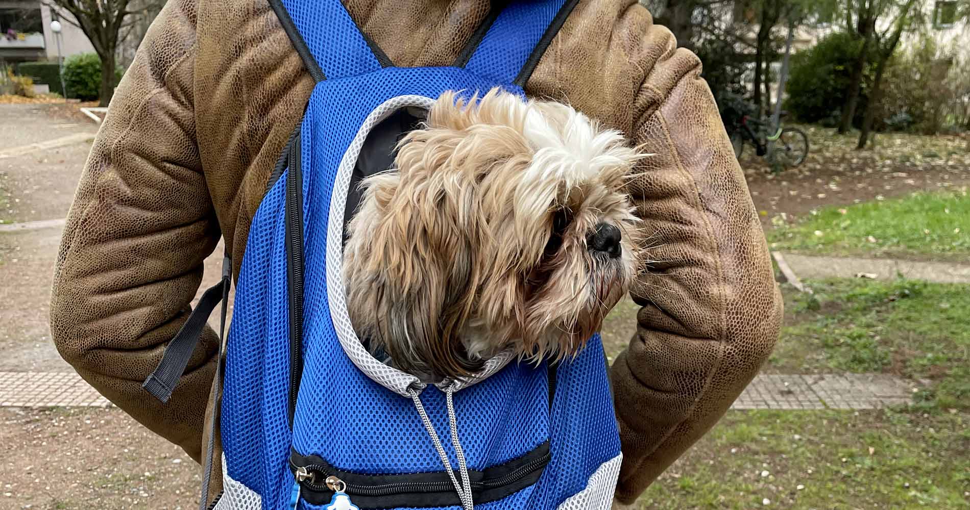 Le monde de Poppy - BackPackDog - Sac à dos pour chien 