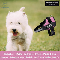 Magic Harnais™ Harnais personnalisable anti-traction - Le monde de Poppy