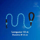 ClimbLeash : Laisse ultra résistante et réfléchissante - Premium - Le monde de Poppy