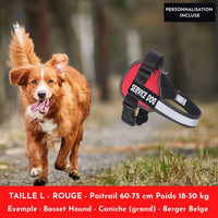 Magic Harnais™ Harnais personnalisable anti-traction - Le monde de Poppy