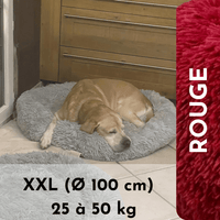 LE coussin anti stress chien déhoussable | HAPPYDOG™ - Le monde de Poppy