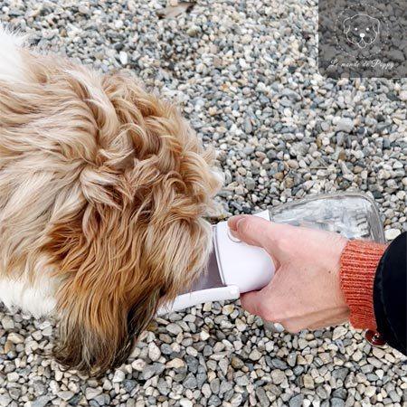 Gourde d'eau portable 2 en 1 pour votre chien en promenade | DogBottle™ - Le monde de Poppy