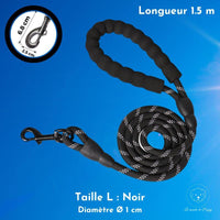 ClimbLeash : Laisse ultra résistante et réfléchissante - Premium - Le monde de Poppy