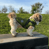 Manteau imperméable et polaire avec harnais intégré | DogCoat - Le monde de Poppy